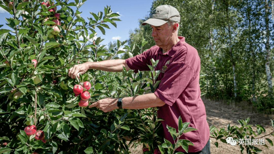 西班牙国家队最新 西班牙国家队最新